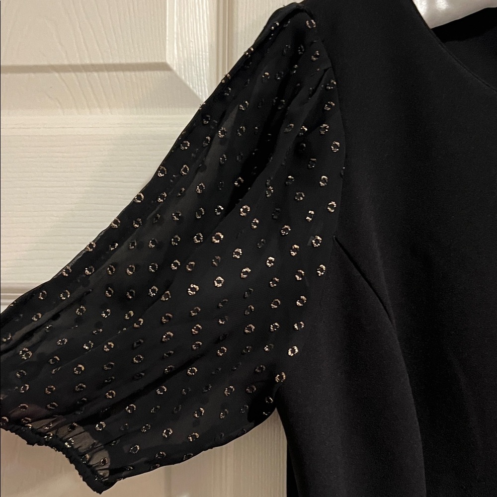 DKNY Black Dress with Sheer Sleeves